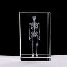 buy human skeleton 3d and get free shipping on aliexpress com