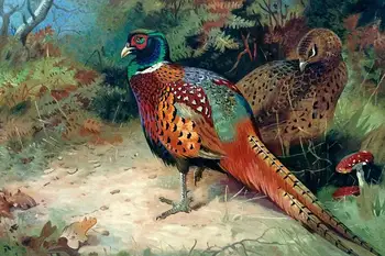 

Handpainted Wall Canvas Animal Birds Oil Painting Home Decor Art Rooster and Hen, 1927 by Archibald Thorburn No Framed