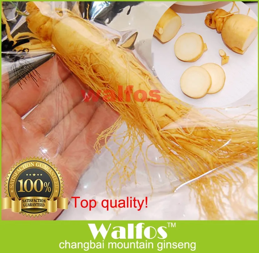 Top quality 2 bags 140g ginseng root insam changbai mountain ginseng Chinese herb panax organic fresh