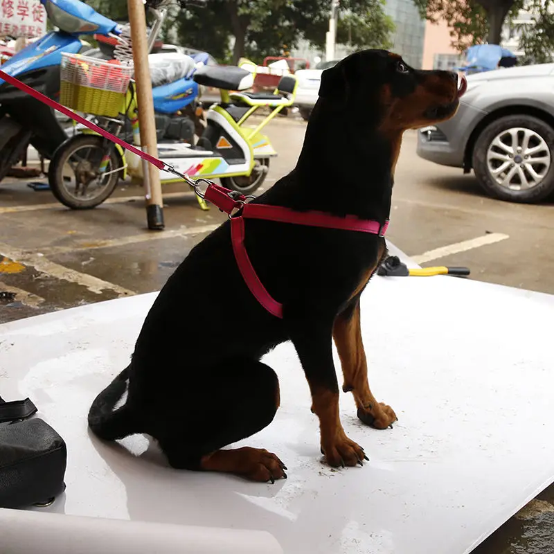 Pet dogs Светоотражающая нагрудная шлейка и поводок набор для лажа и маленьких Чихуахуа питбуль собаки аксессуары для домашних животных arnes para perro# FS