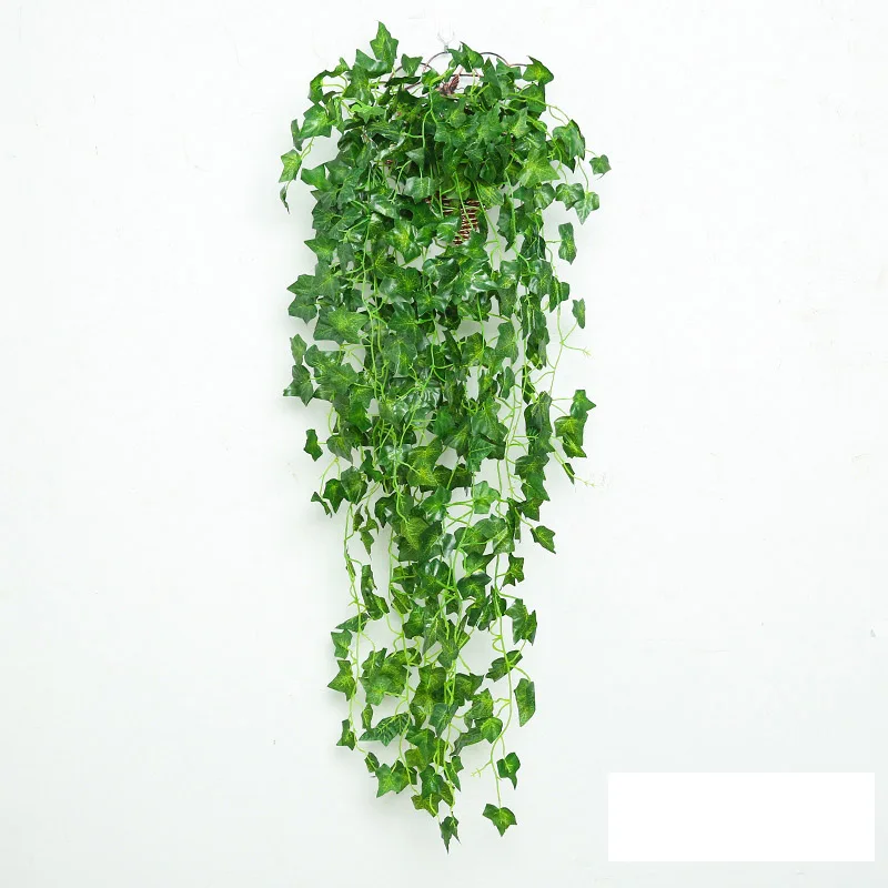 sweet potato leaves