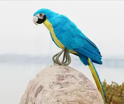 Моделирование большой попугай модель полиэтилена и перья синяя птица ремесленных подарок около 45 см s2973
