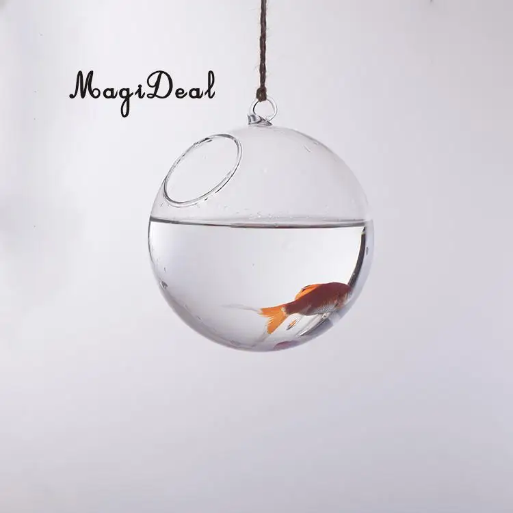 MagiDeal Heat-Resistant Glass Ball Shape Wall Hanging Flower Vase Plant Bottle Home Bedroom Living Room Decor 10cm Friend Gifts