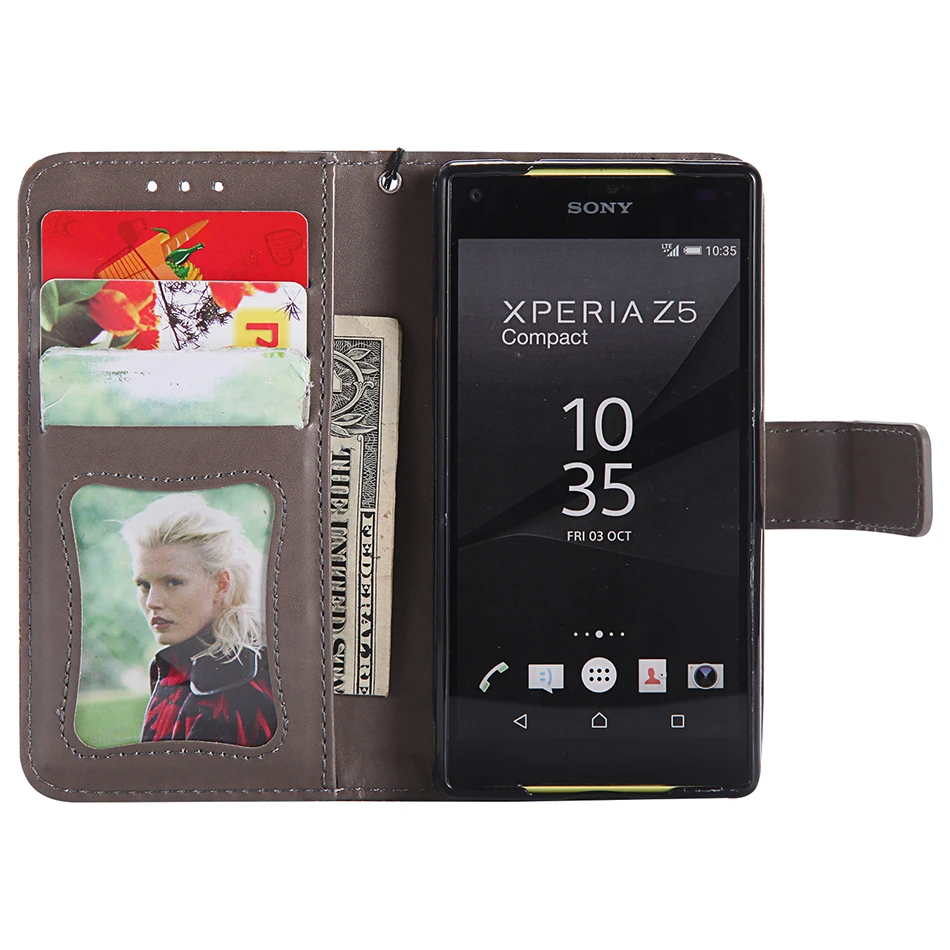 Z5 MINI (47)