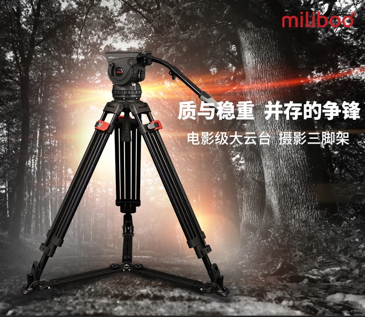 M15DL_01