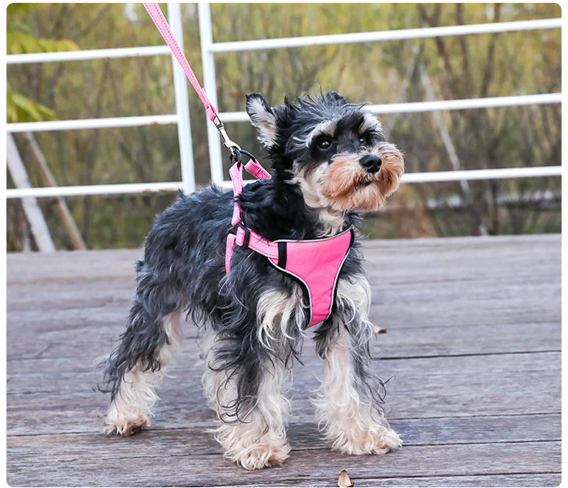 10225496187_1227780673 