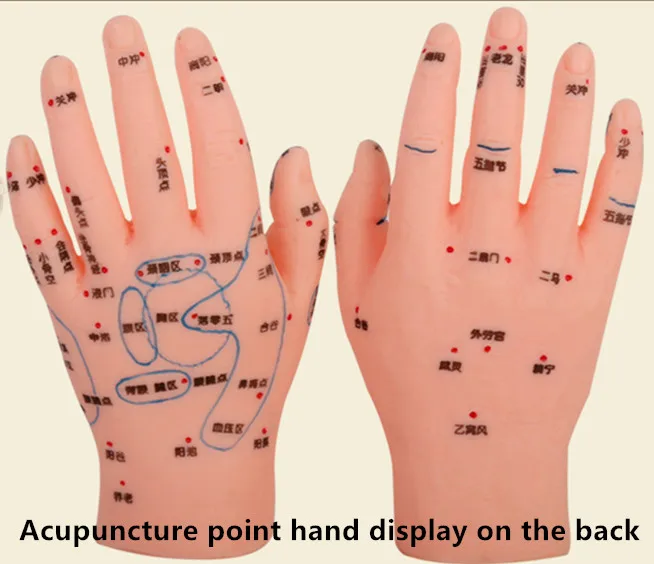 Модель рук человека модель акупунктуры Модель рук массаж Модель рук Акупунктура модель акупунктуры рука рефлекторная зона