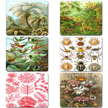 

Nature Insects Spiders Parrots Encyclopedia Cool Designs Nature Rubber Table Mouse Pad Laptop Computer Enclosure Mousepad Mat