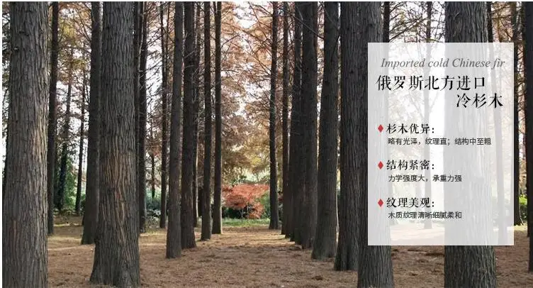 QQ20170925002555
