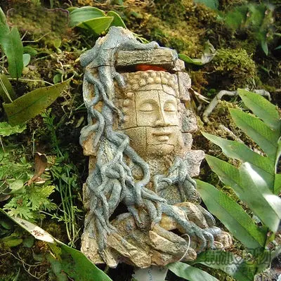 

Fish tank, box, stone Buddha, shelter from decoration