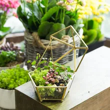 Modern Artistic Tabletop Clear Glass Geometric Terrarium Jewel boxed Shape Succulent Fern Moss Plant FlowerPot Bonsai
