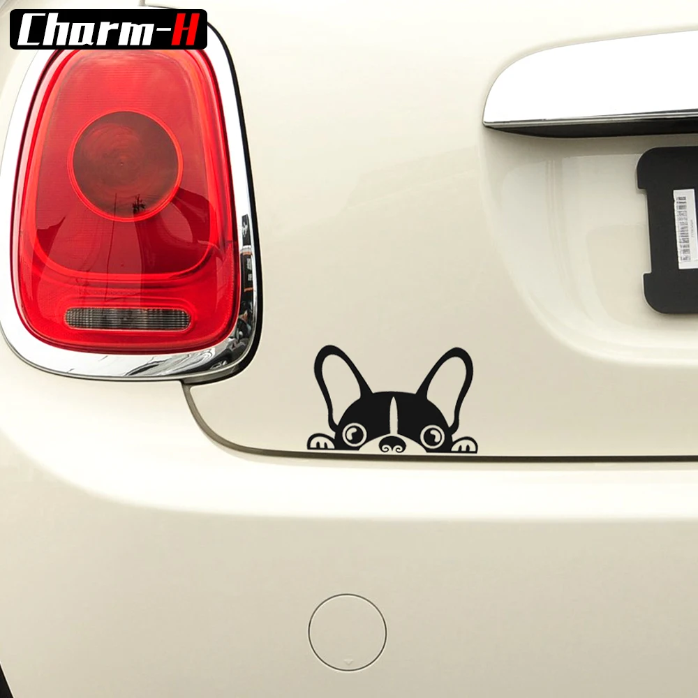 Reflective Vinyl Peep Dog Rear Windshield Anti Scratch Trunk Bumper Window Decals Sticker for Mini Cooper S R50 R52 R53 R56 F55