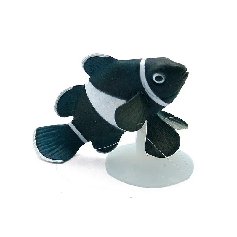 蛍光カクレクマノミ水族館装飾で吸盤カップ用魚タンク黒 白送料無料 Cup Manufacture Decorative Cup Holderscup Stock Aliexpress