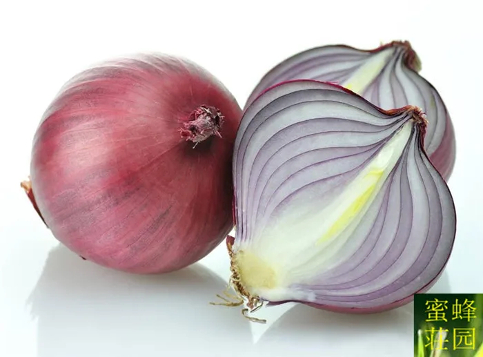 

Onion bonsais Vegetable bonsais Approximately 100pcs