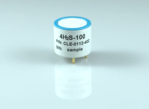 

4H2S-100