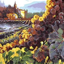 Pintura digital DIY de uva de viñedo vintage sin marco, pintura por números, cuadros de pintura al óleo en algodón para decoración del hogar