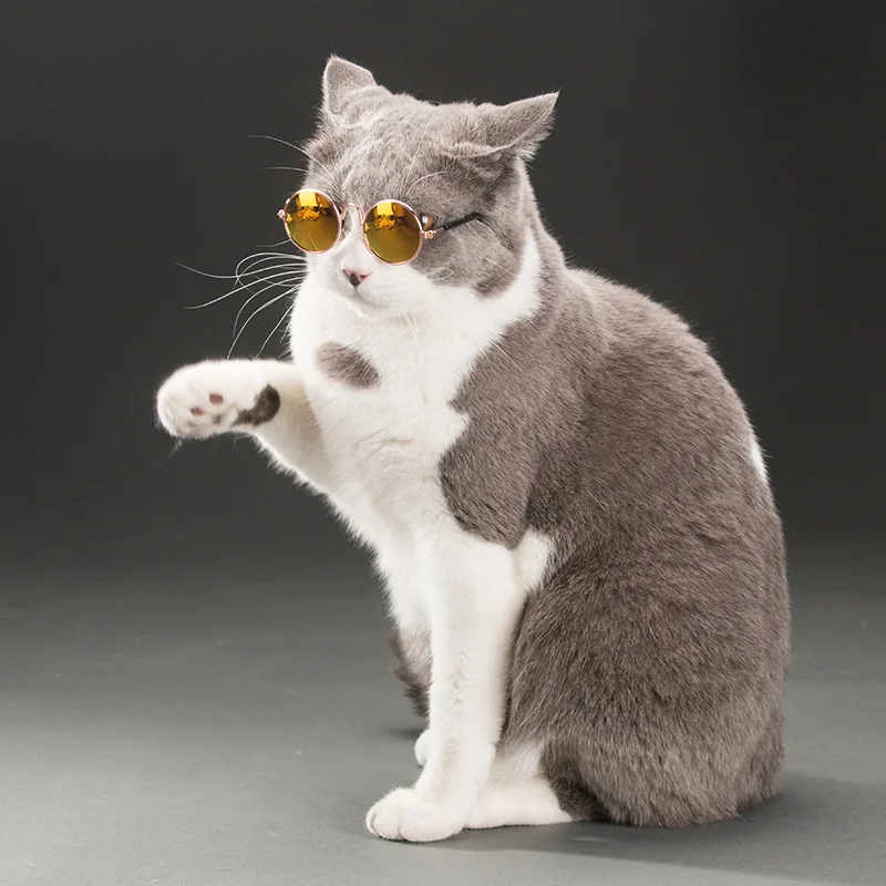 2 Pcs Fashion Style Cat Sunglasses Summer Dogs Cats Glasses Cat Grooming Eye-Wear Protection Puppy Cats Glasses Pet Accessories 2 Pcs Fashion Style Cat Sunglasses Summer Dogs Cats Glasses Cat Grooming Eye-Wear Protection Puppy Cats Glasses Pet Accessories