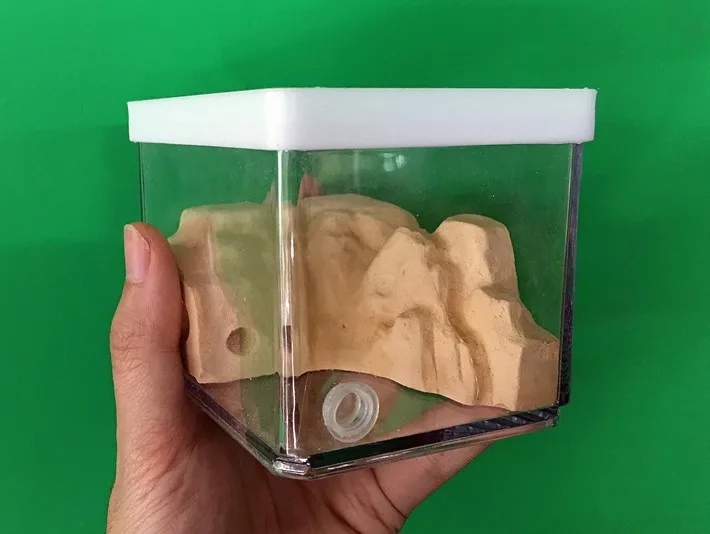 

Laminated Ecological Ants Nest Size 10x8x8CM Mini Ants Villa Farm Keep Moisture Long Time Kids Birthday Gifts Toys Insect Cages