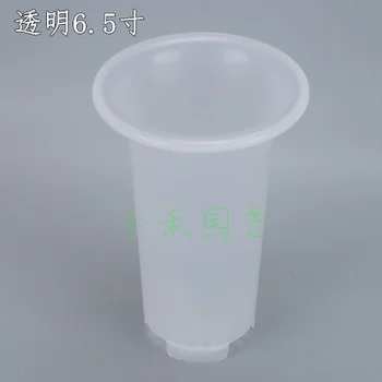 

Plastic pots Orchid Cymbidium black / clear 6.5-inch flat-bottomed pots endless hole