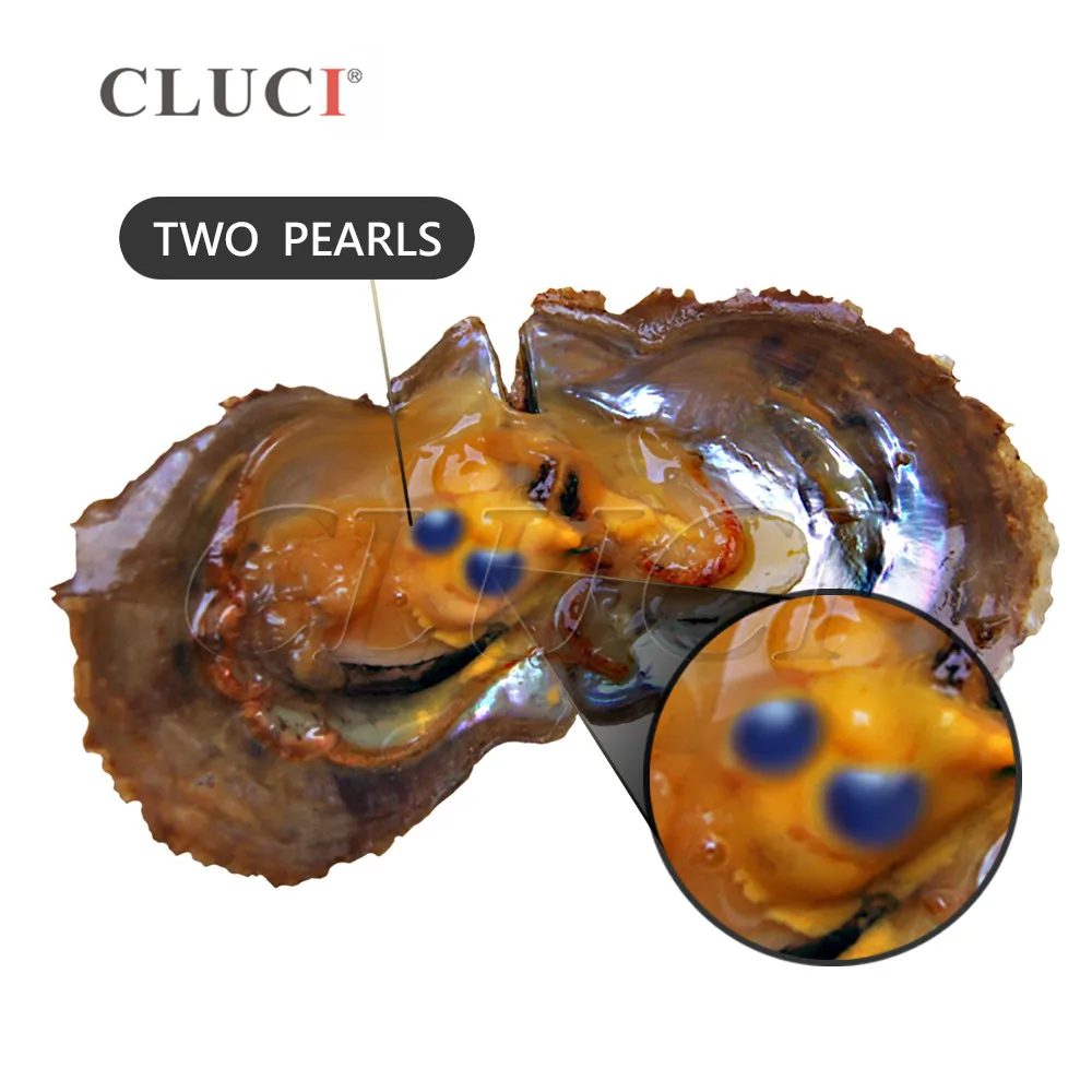 WP276BB-2-pearl-jewelry