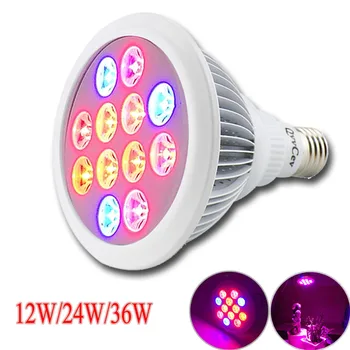 

E27 SMD Flower Vegetable Grow LED 12W 24W 36W Plants Growth Lights Indoor Greenhouse Lamp Bulbs Hydroponics System Lighting