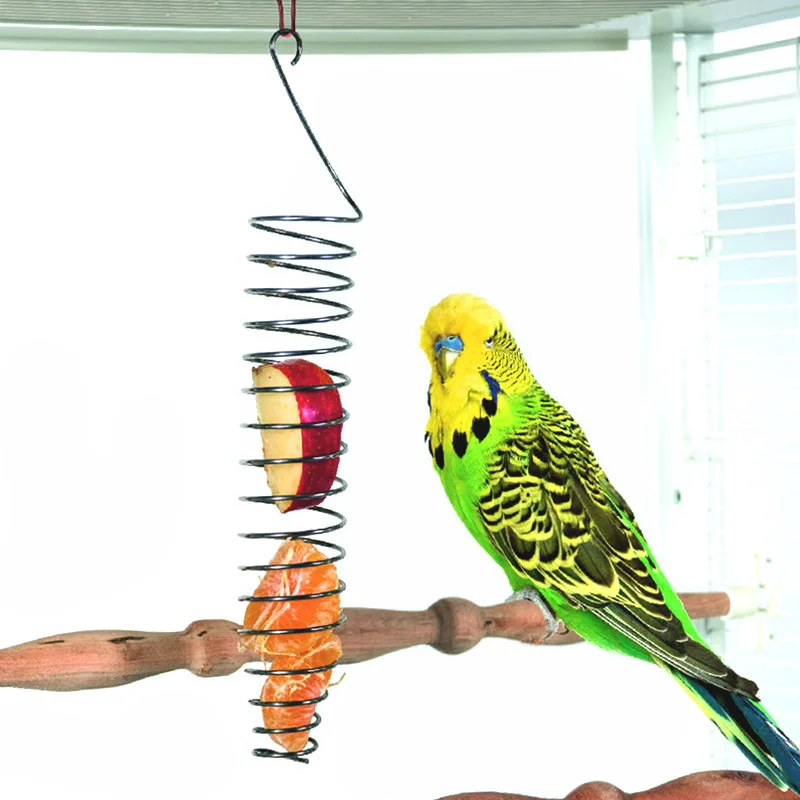 CAITEC игрушки для птиц из нержавеющей стали, еда для попугая, корзина для фруктов, овощей, просо, подходит для маленьких, средних и больших птиц