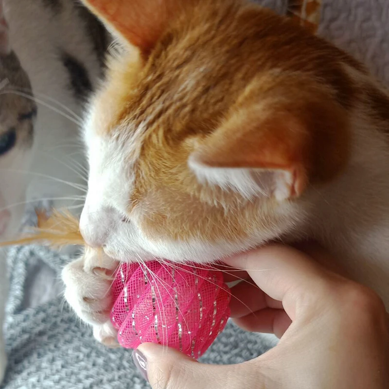 

[MPK Cat Toy] Cat Play Ball, Cat Exercise Toy
