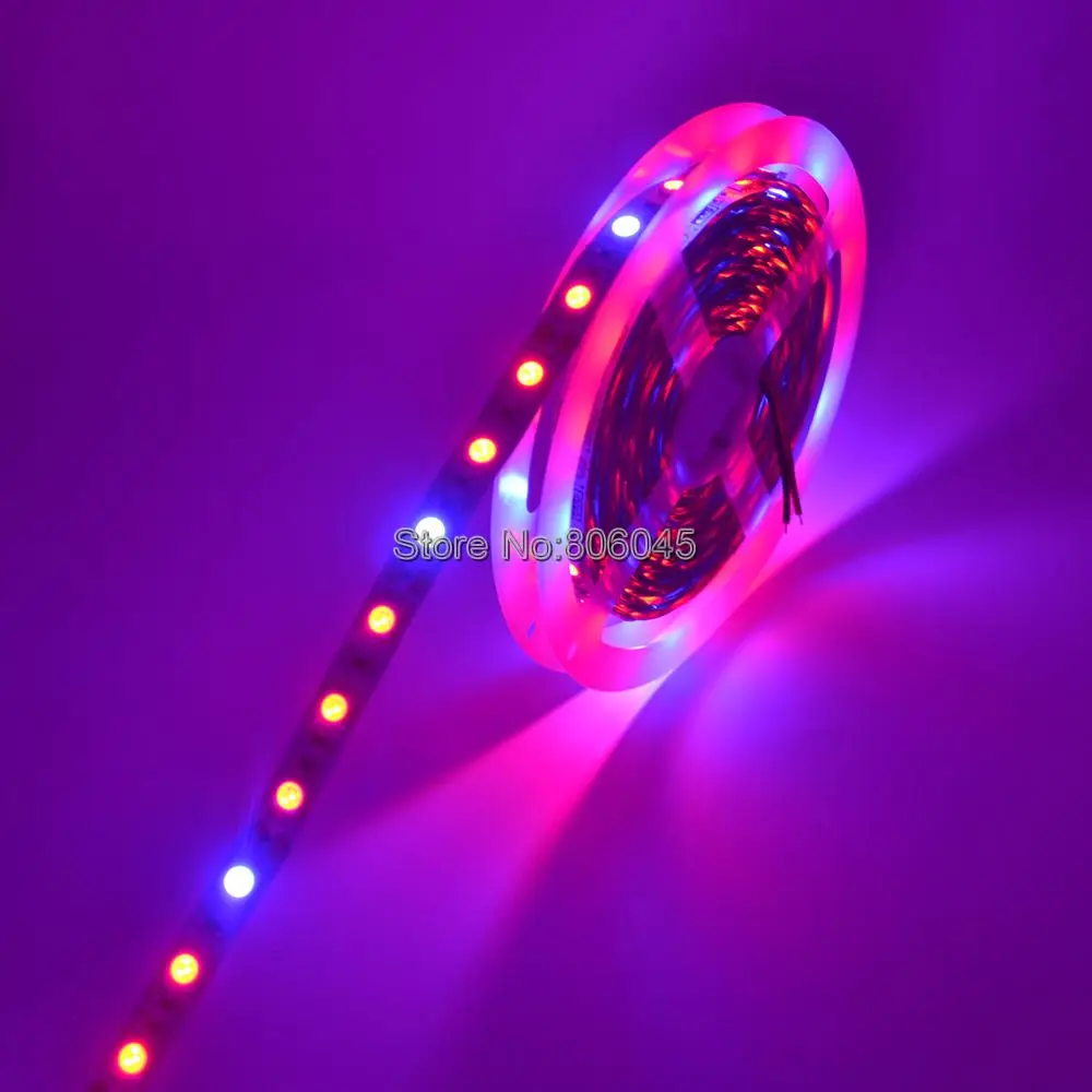 #cheap 5m 12V 5050 Grow LED Strip Light 5050SMD DC12V Red Blue 31 41 51 LED Grow Light for Greenhouse Hydroponic Plant Growing