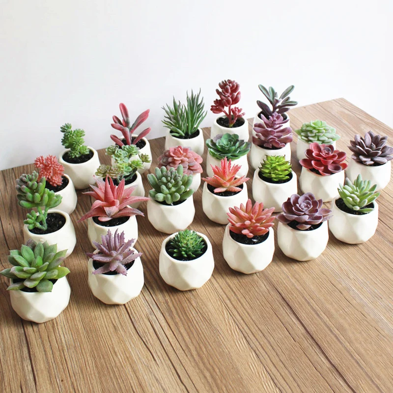 JAROWN Artificial Succulent Plant Bonsai Simulation Plastic Flower Wedding Home Room Desktop Placement Shop Window Display Decor (2)