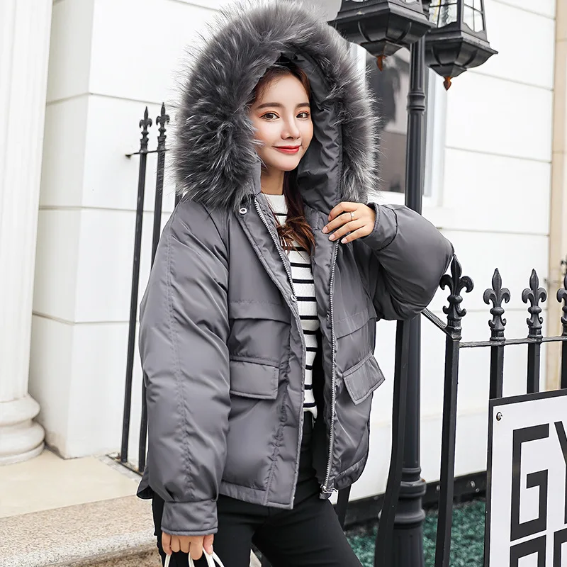 

Fashion Fresh Straight Winter Women's down jacket 2018 Short Loose Thick Raccoon Fur Large Fur Collar Down Jacket Winter Wear