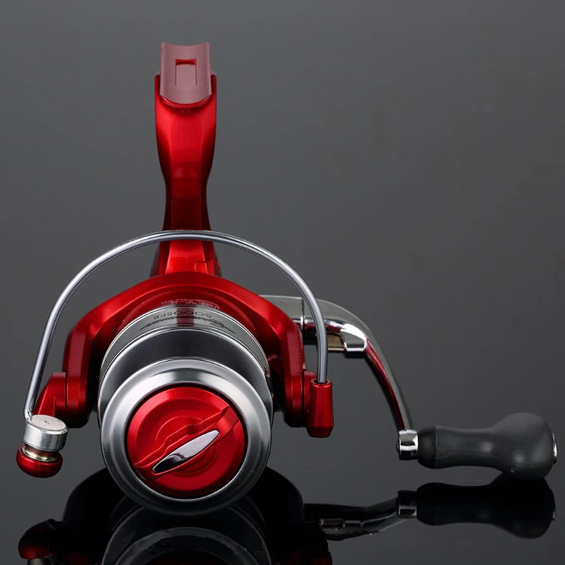 Carp