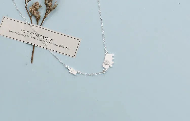 4145136011_717013591