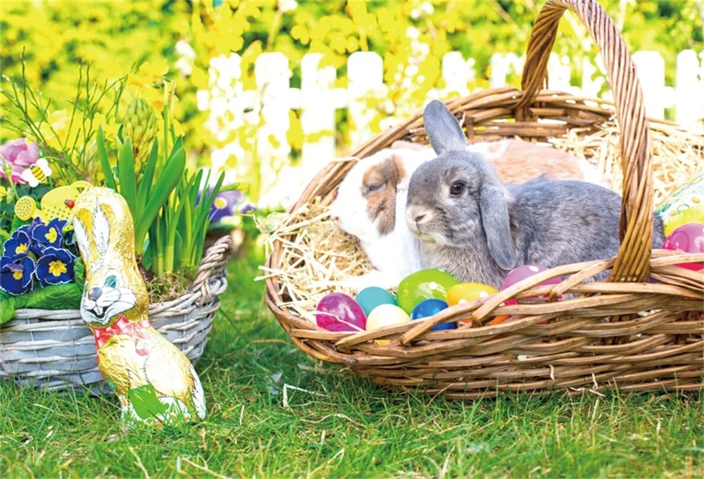 NSW03006