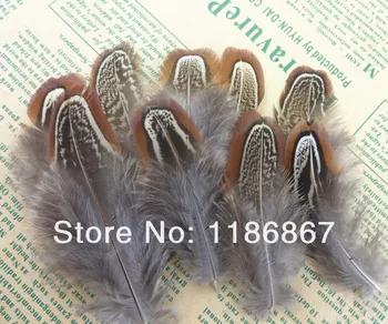 

Hot sale 200pcs 4-8cm real natural pheasant tail plumage feathers for craft sale plumes feather centerpiceces wedding free ship