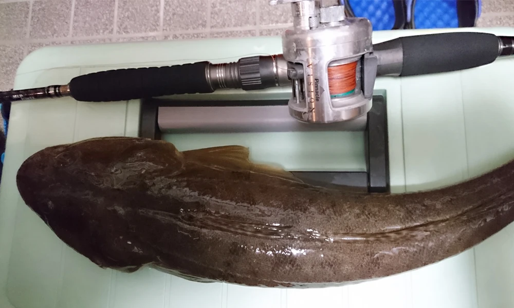 Vara de Pesca Ai-shouyu Lento Jigging Ação Rápida Oceano Vara 5kg Alto Carbono Barco 60-180g Alça Rosqueada 1.68m 80-200g 9 ???-4