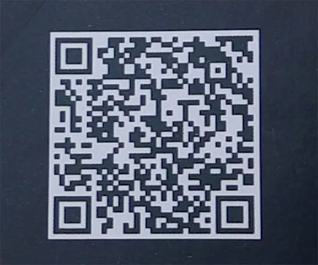 scan