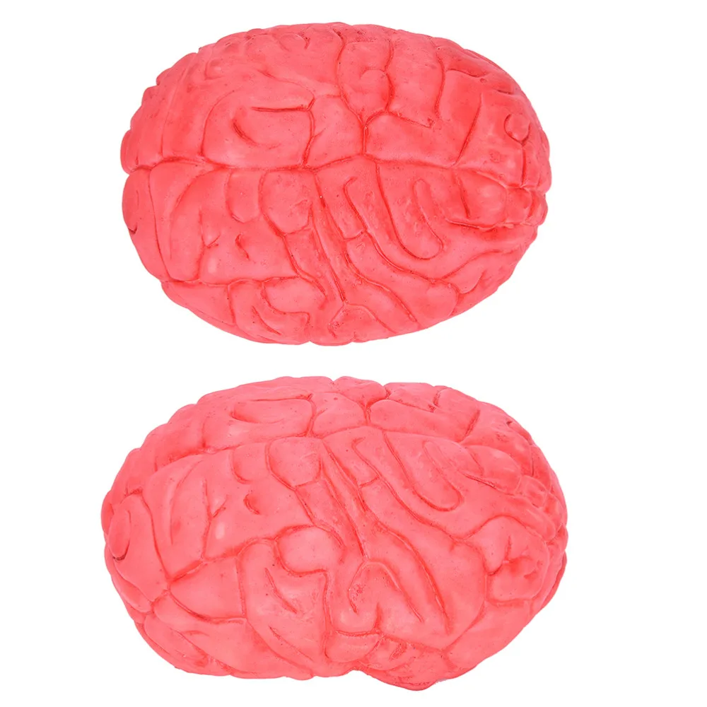 Halloween Fake Scary Human Brain Halloween Decoration And Prop Rubber