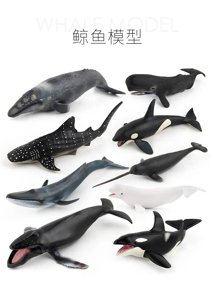 Моделирование смолы мускус Белый Кит КИТ синий кит морской Кит животное биологическая модель КИТ серия игрушка детский подарок