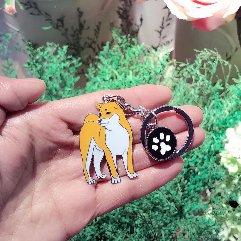 https://ae01.alicdn.com/kf/HTB1X0RBnL2H8KJjy0Fcq6yDlFXaZ.jpg