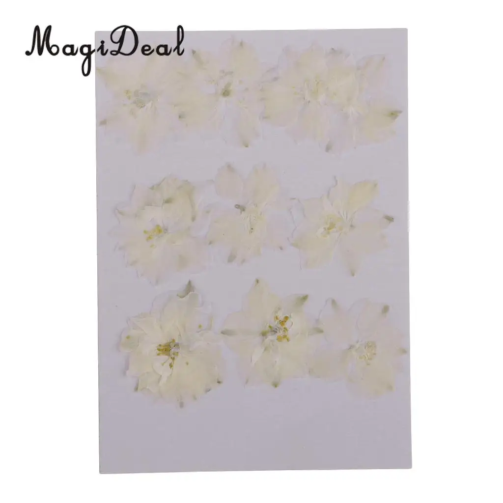10 / 20Pcs Beautiful Real Pressed Rose Petal Babysbreath Flowers Dried Flowers for Art Craft Scrapbooking DIY Resin Jewelry
