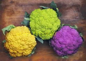 

200 pcs cauliflower Vegetable NO-GMO RARE organic vegetable plants for home garden