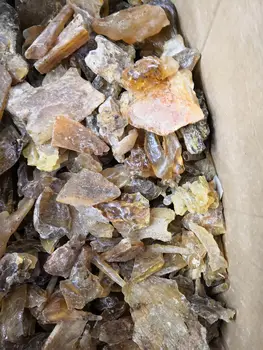

100g Natural Raw Rough Copal Amber Fossil with Insects Crystal Specimen Madagascar