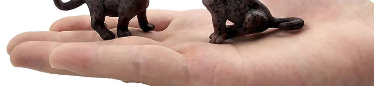 -2--DW-M-LP531-535_02