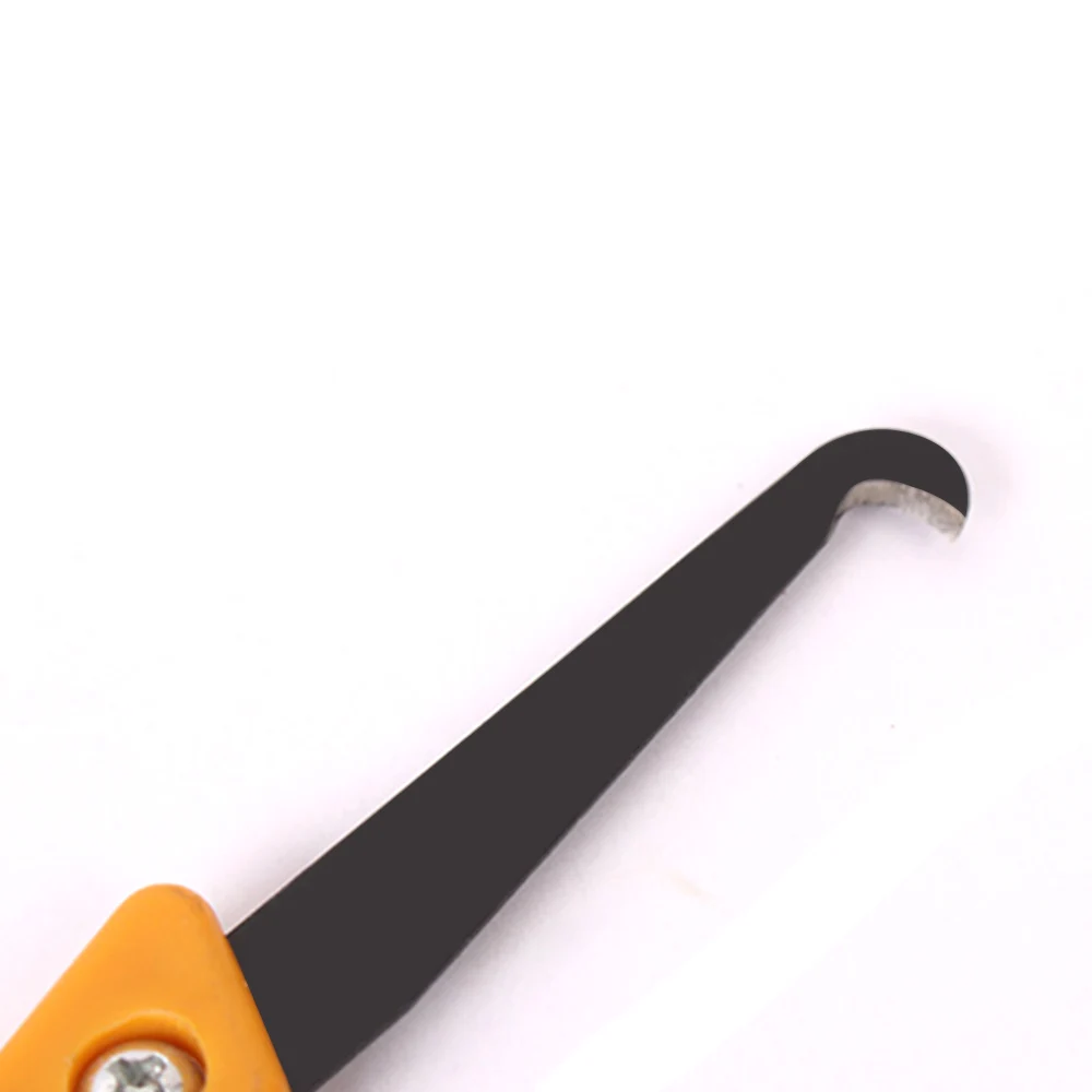 B (3)