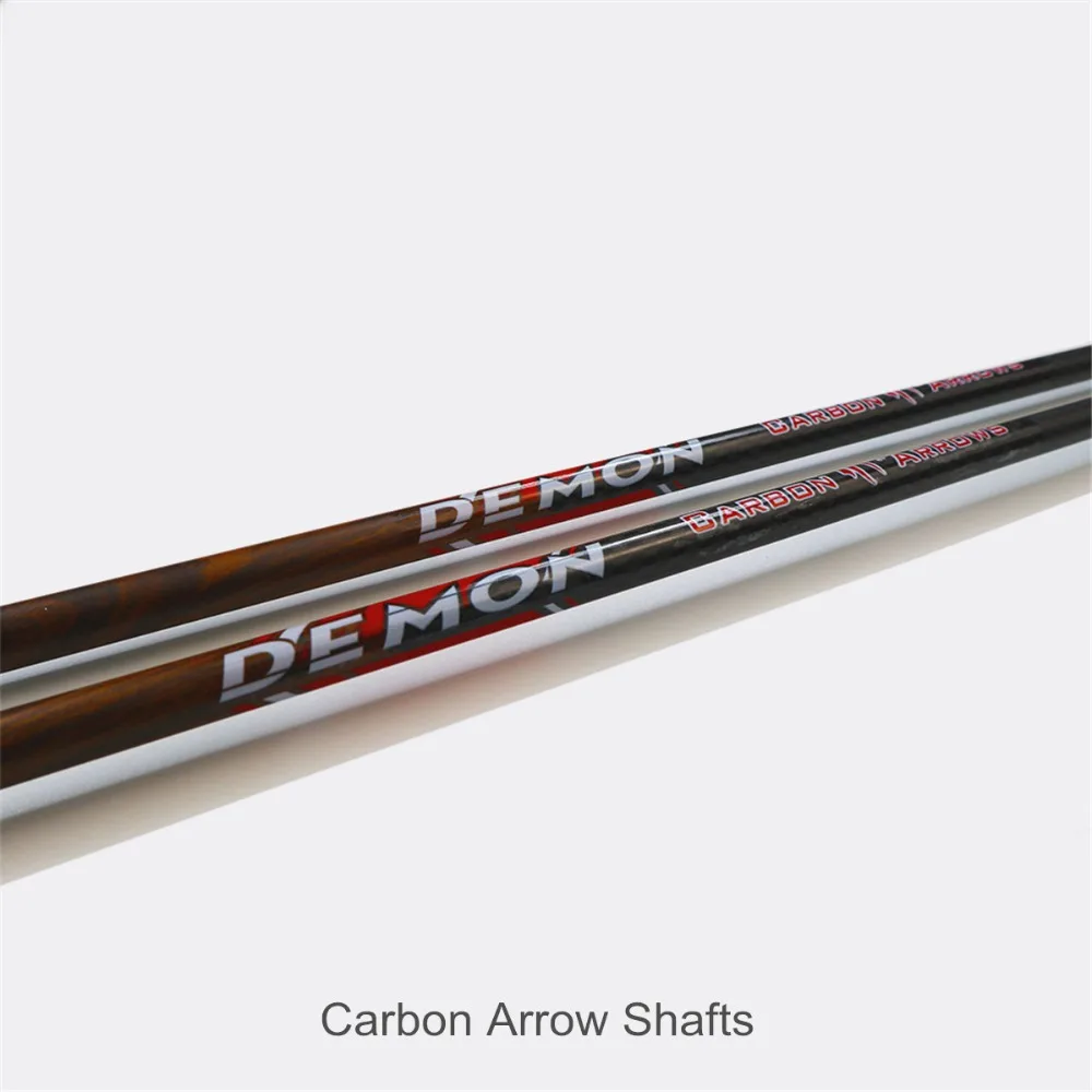 zhan yi carbon arrows (5)