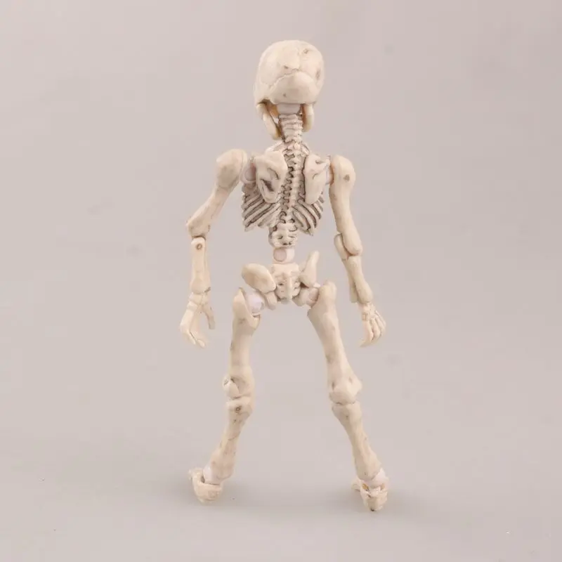 Pose Skeleton Q3     _ -  - 1 (5)