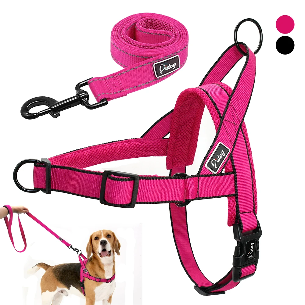 Mesh Nylon Dog Harness and Leash Set No Pull Pet Harnesses Vest Walking