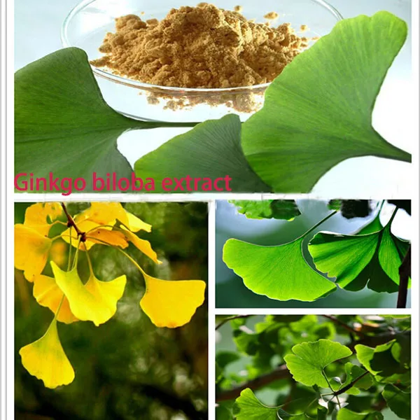 

1kg bulk packing best quality 100% Memory amelioration Ginkgo biloba extract best food supplement support sleeping