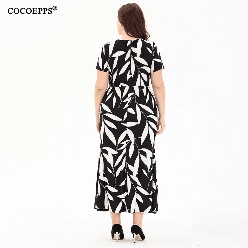 COCOEPPS24