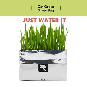 

DIY Natural Catnip cat grass grow bag For Cat's Healthy Cat Edible Treating Vomit cat hair pet Cleaning Teeth Cat Supplies